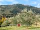 Thumbnail Farm for sale in Montone, Umbria, Italy