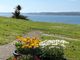 Thumbnail Flat for sale in Alta Vista Road, Paignton, Devon