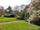 Thumbnail Property for sale in Main Street, Northiam, East Sussex