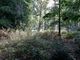Thumbnail Land for sale in Land, Conford, Liphook
