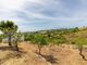 Thumbnail Villa for sale in Vila Do Bispo Municipality, Portugal