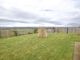 Thumbnail Detached house for sale in Coupar Angus, Blairgowrie