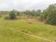 Thumbnail Land for sale in Plot At North Clachan Croft, Strachur, Argyll PA278Dg