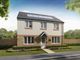 Thumbnail Detached house for sale in "The Ettrick" at Lusitania Gardens, Larkhall