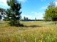 Thumbnail Land for sale in Property 70Ha, Santarém, Salvaterra De Magos, Muge, Salvaterra De Magos, Santarém, Central Portugal