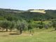 Thumbnail Country house for sale in Via Roma Chianni, Chianni, Toscana