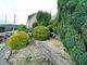 Thumbnail Detached bungalow for sale in Bali-Hai, Salisbury Road, Abercynon