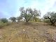 Thumbnail Land for sale in Árchez, Andalusia, Spain