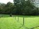 Thumbnail Land for sale in Cotton Row, Holmbury St. Mary, Dorking
