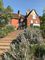 Thumbnail Semi-detached house for sale in Brook Road, Wormley, Godalming, Surrey