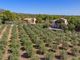 Thumbnail Country house for sale in Country Estate, Bunyola, Mallorca, 07110