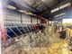 Thumbnail Farm for sale in Cwmbach, Whitland