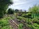 Thumbnail Terraced house for sale in New Street, Torrington