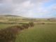 Thumbnail Cottage for sale in Cronk-Y-Dhooney, Ballakilpheric, Colby, Isle Of Man