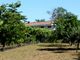 Thumbnail Villa for sale in 5 Bed House In Northern Portugal, Marco De Canaveses, Marco De Canaveses, Porto, Norte, Portugal
