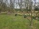 Thumbnail Detached house for sale in Ridgewood, New Barn, Longfield
