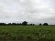 Thumbnail Land for sale in Kirby Road, Kirby Bedon, Norwich, Norfolk