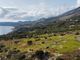 Thumbnail Land for sale in Lourdata, 28100, Greece