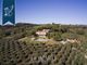 Thumbnail Villa for sale in Siena, Siena, Toscana