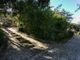 Thumbnail Villa for sale in Toscana, Livorno, Porto Azzurro