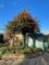 Thumbnail Detached bungalow for sale in West Park, Braunton