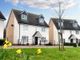 Thumbnail Detached house for sale in Hall Lane, Elmswell, Bury St. Edmunds