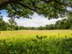 Thumbnail Land for sale in The Old Enton Estate, Enton, Godalming, Surrey