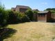 Thumbnail Detached bungalow to rent in Clover Close, Locks Heath, Southampton