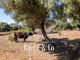 Thumbnail Villa for sale in 07570 Artà, Balearic Islands, Spain