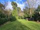 Thumbnail Detached house for sale in Hindhead, Surrey