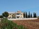Thumbnail Detached house for sale in Deryneia, Cyprus