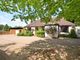 Thumbnail Equestrian property for sale in Rye Road, Northiam, Rye