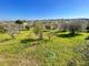 Thumbnail Land for sale in Monopoli, Puglia, 70043, Italy