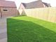 Thumbnail Detached house for sale in High Street, Haxey, Doncaster