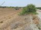 Thumbnail Land for sale in Mazotos, Larnaca, Cyprus