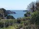 Thumbnail Terraced house for sale in St. Marks Road, Torquay