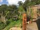 Thumbnail Detached bungalow for sale in Verriotts Lane, Morcombelake, Bridport