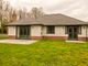 Thumbnail Bungalow for sale in Hedge Corner, Blendworth, Hampshire