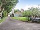 Thumbnail Bungalow for sale in The Orchard, Shoreham, West Sussex
