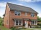 Thumbnail Detached house for sale in "Alnmouth Plus" at Prospero Drive, Wellingborough