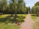 Thumbnail Villa for sale in Pisa, Tuscany, Italy