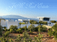 Thumbnail Villa for sale in Skinari, Zakynthos, Ionian Islands, Greece