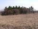 Thumbnail Land for sale in Surnets 2, Surnets, Bulgaria