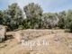 Thumbnail Villa for sale in Jrgj+Rf, 07142 Santa Eugènia, Balearic Islands, Spain