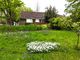 Thumbnail Detached bungalow for sale in Dell Close, Haslemere