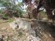 Thumbnail Land for sale in Antipaxos (Island), Antipaxos (Island), Greece