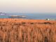 Thumbnail Land for sale in Helios Heights, Santorini, Cyclade Islands, South Aegean, Greece