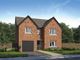 Thumbnail Detached house for sale in "The Lorimer" at Mulberry Rise, Hartlepool