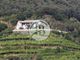 Thumbnail Villa for sale in Levanto, Liguria, 19015, Italy