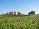 Thumbnail Farm for sale in Montevarchi, Tuscany, Italy